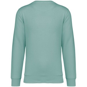 Native Spirit Drifter pulver, Jade Green (pulver)