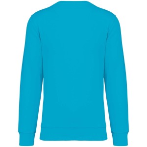 Native Spirit Drifter pulver, Light Turquoise (pulver)