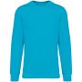 Native Spirit Drifter pulver, Light Turquoise