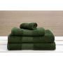 Olima trlkz, Bottle Green