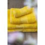 Olima trlkz, Sunflower