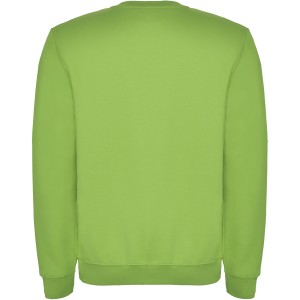 Roly Clasica uniszex pulver, Oasis Green (pulver)