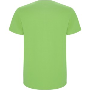 Roly Stafford frfi pamutpl, Oasis Green (T-shirt, pl, 90-100% pamut)